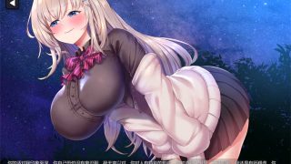 ower of Waifus 2 ver1.04官方中文 全CG已开[SLG游戏]PC游戏