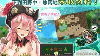 [RPG]海盗姬露碧娜与梦幻秘宝 – 官方中文作弊版+语音DLC+存档 [电脑/1.70G]