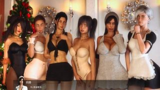 家庭的秘密：重制 Reloaded V0.45a 精翻汉化版[SLG游戏/动态] PC+安卓