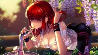 地狱少女 Hell Girls STEAM官中破解版[休闲游戏/中文/步兵] PC游戏