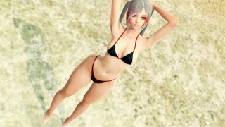 命运碰撞v0.2.2精翻汉化版[欧美SLG/3D动态]PC+安卓