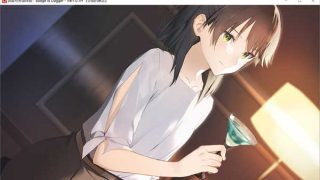 流星世界演绎者V1.01H官中/Meteor World Actor[ADV游戏]PC游戏