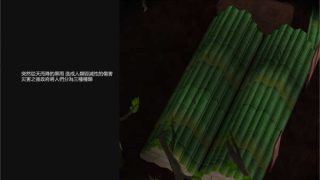从黑雨中袭来的家伙 官方中文版[日系SLG/NTR/3D动态] PC游戏