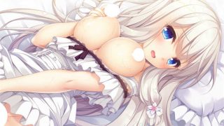 候鸟的梦 汉化版[ADV游戏/全CG]PC游戏