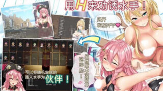 海盗姬露碧娜与梦幻秘宝~官方中文作弊版+语音DLC+存档[爆款RPG/动态]PC游戏