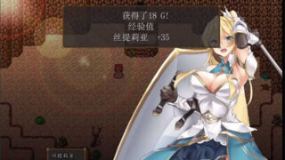 海盗姬露碧娜与梦幻秘宝~官方中文作弊版+语音DLC+存档[爆款RPG/动态]PC游戏