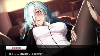 Fate：尘埃帝国！完结作弊汉化版+全CG包[RPG游戏/超火爆/完结]PC游戏