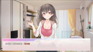 恋爱经纪人V1.0汉化版[休闲游戏/日式]PC游戏
