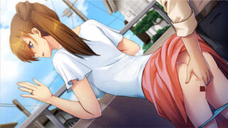 让我哥哥的妻子怀孕/Knocking up my brother’s wife 云翻汉化版[ADV游戏/新作/机翻]PC游戏