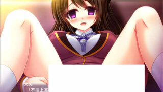 孕ませ催眠姦 修复汉化版[ADV游戏/机翻]PC游戏