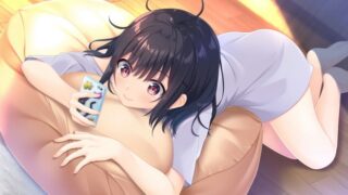 童贞兄妹 无法忍耐的处男哥哥和不直率的叛逆妹妹+3部DLC 官中版【日系RPG/中文】PC游戏