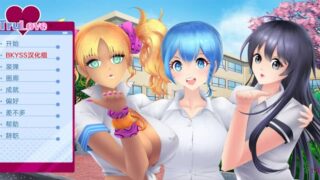 特鲁洛夫 TruLove 1.0.8 汉化版【欧美SLG/2D】PC游戏