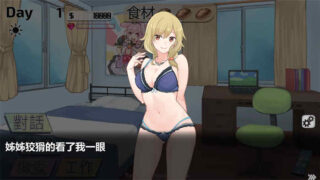 与姊姊同住的时光 官方中文版[SLG游戏/日系/无马]PC游戏