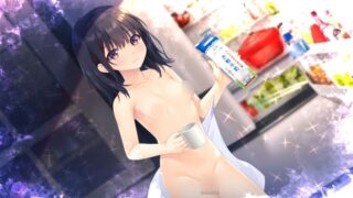 童贞兄妹 无法忍耐的处男哥哥和不直率的叛逆妹妹+3部DLC 官中版【日系RPG/中文】PC游戏